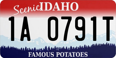 ID license plate 1A0791T