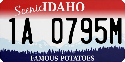 ID license plate 1A0795M