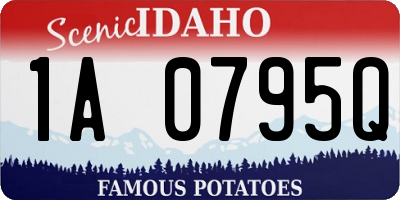ID license plate 1A0795Q