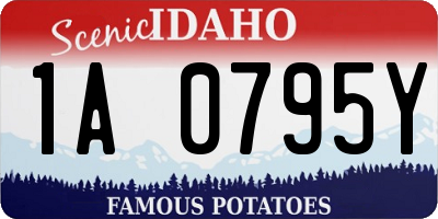 ID license plate 1A0795Y