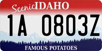 ID license plate 1A0803Z