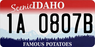 ID license plate 1A0807B