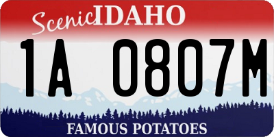 ID license plate 1A0807M