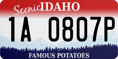 ID license plate 1A0807P
