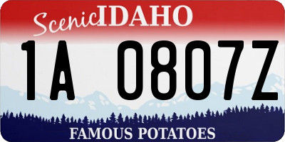 ID license plate 1A0807Z