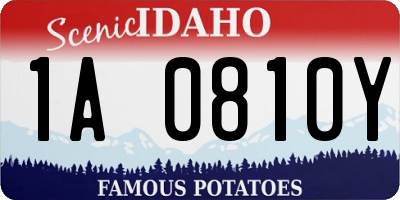 ID license plate 1A0810Y