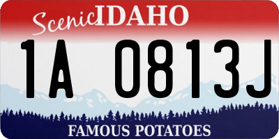 ID license plate 1A0813J