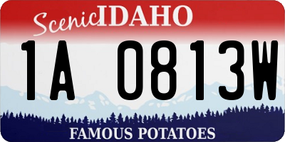 ID license plate 1A0813W