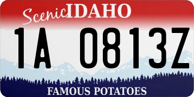 ID license plate 1A0813Z