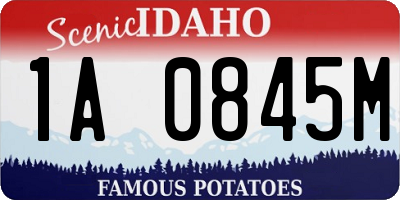 ID license plate 1A0845M