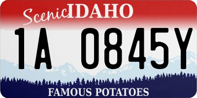 ID license plate 1A0845Y