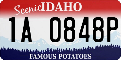 ID license plate 1A0848P