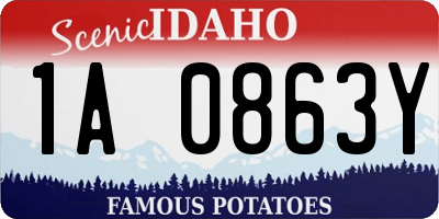 ID license plate 1A0863Y