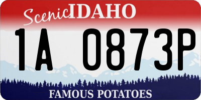 ID license plate 1A0873P