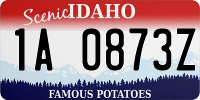 ID license plate 1A0873Z