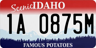 ID license plate 1A0875M