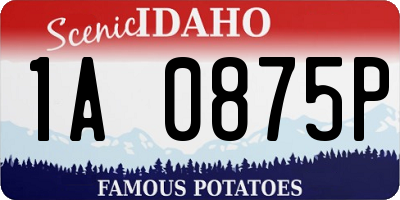 ID license plate 1A0875P