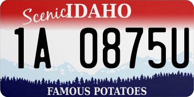ID license plate 1A0875U
