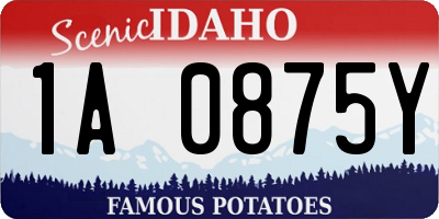 ID license plate 1A0875Y