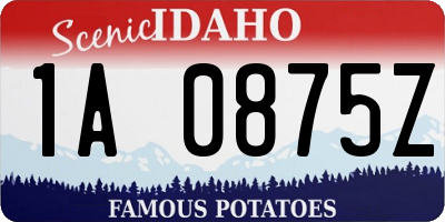 ID license plate 1A0875Z