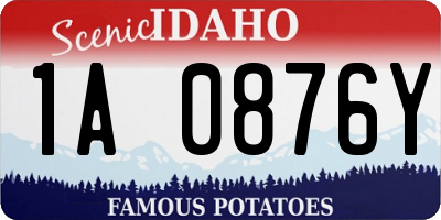 ID license plate 1A0876Y