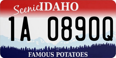 ID license plate 1A0890Q