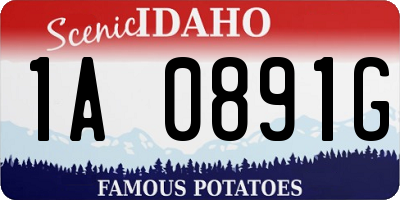 ID license plate 1A0891G