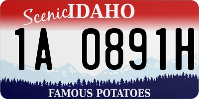 ID license plate 1A0891H