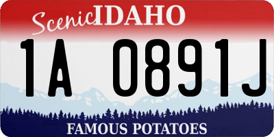 ID license plate 1A0891J