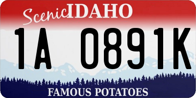 ID license plate 1A0891K