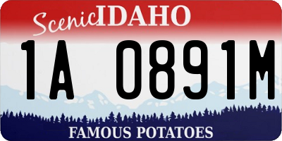 ID license plate 1A0891M