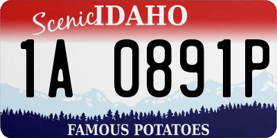 ID license plate 1A0891P