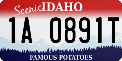 ID license plate 1A0891T