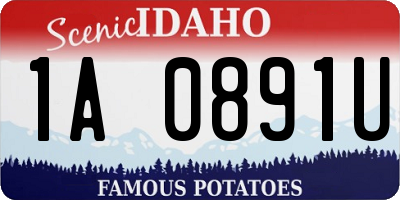 ID license plate 1A0891U