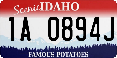 ID license plate 1A0894J