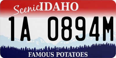 ID license plate 1A0894M
