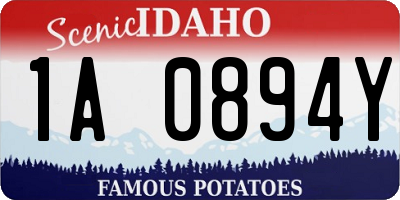 ID license plate 1A0894Y