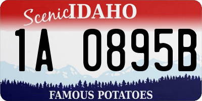 ID license plate 1A0895B