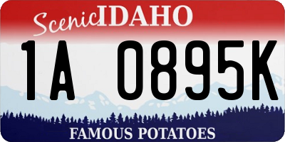 ID license plate 1A0895K