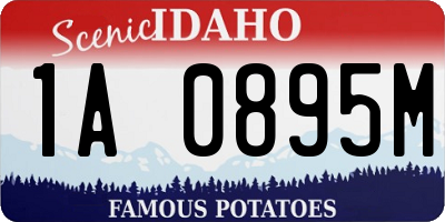 ID license plate 1A0895M