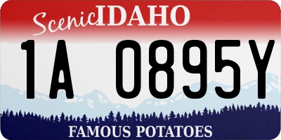 ID license plate 1A0895Y