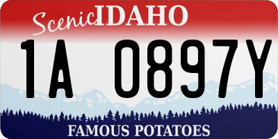 ID license plate 1A0897Y