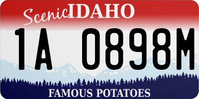 ID license plate 1A0898M