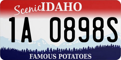 ID license plate 1A0898S