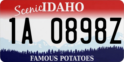ID license plate 1A0898Z