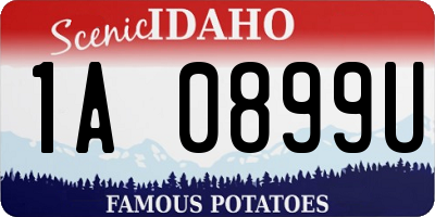 ID license plate 1A0899U