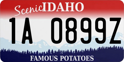 ID license plate 1A0899Z