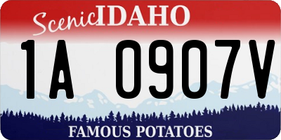 ID license plate 1A0907V