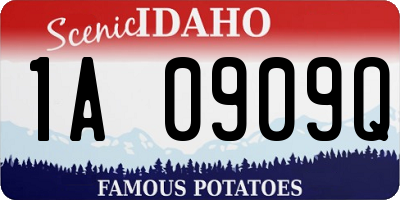 ID license plate 1A0909Q