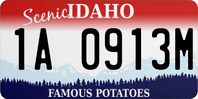 ID license plate 1A0913M